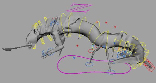 animation rig for adult druk in Maya